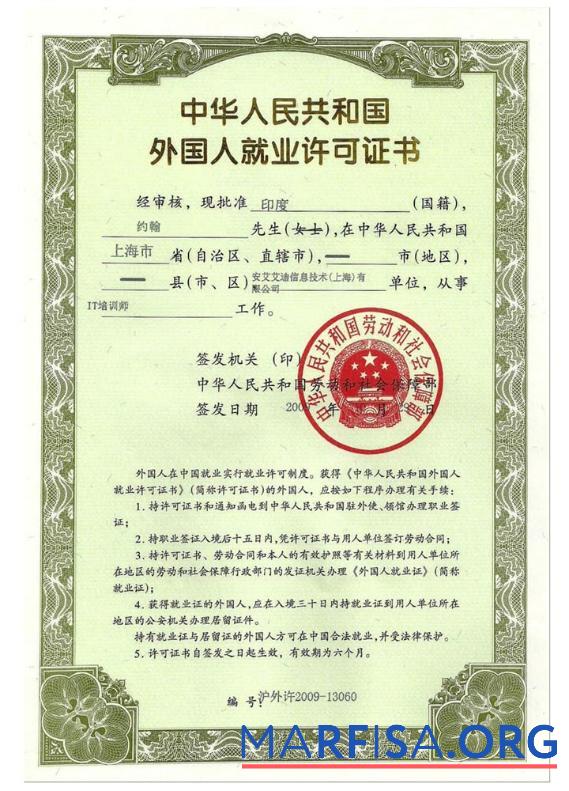 Downloadable China employment permit (work visa) real example